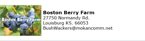Boston Berry Farm