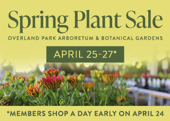 OPA plant sale