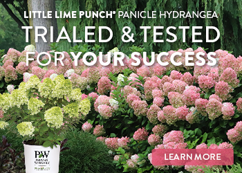 Proven Winners May25