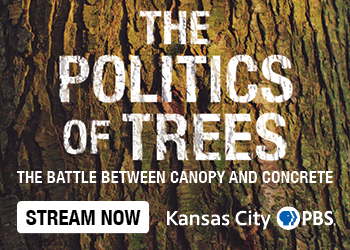 The Politics of Trees PBS